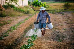 a farmer on the job